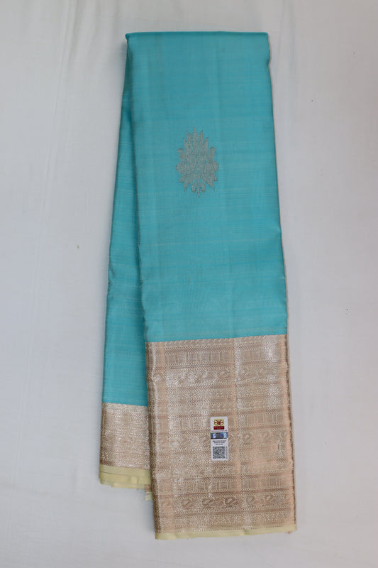 Exotic Sky Blue Kanchipuram Silk saree - My First Saree