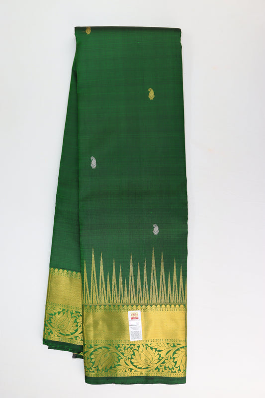 Timeless Green Kanchipuram Silk saree - My First Saree