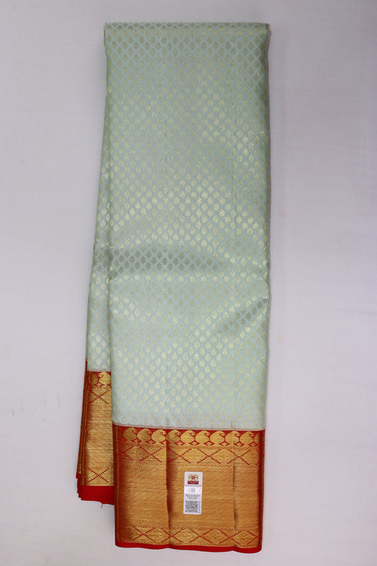 Stunning Pale Aqua Blue Kanchipuram Silk saree