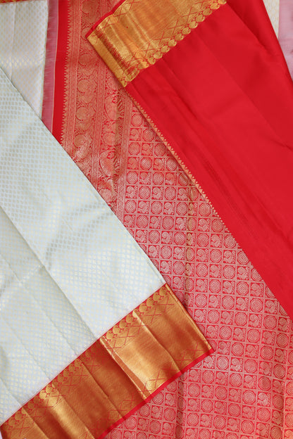 Stunning Pale Aqua Blue Kanchipuram Silk saree