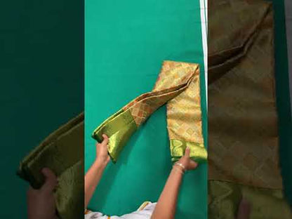 Fine Multi-color Kanchipuram Silk Saree