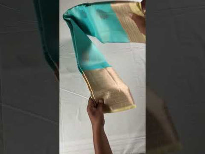 Exotic Sky Blue Kanchipuram Silk saree